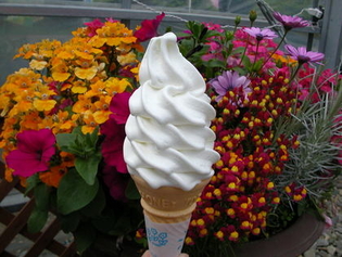 こだわりの自家製ソフトクリーム