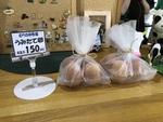 うみたて卵🥚✨