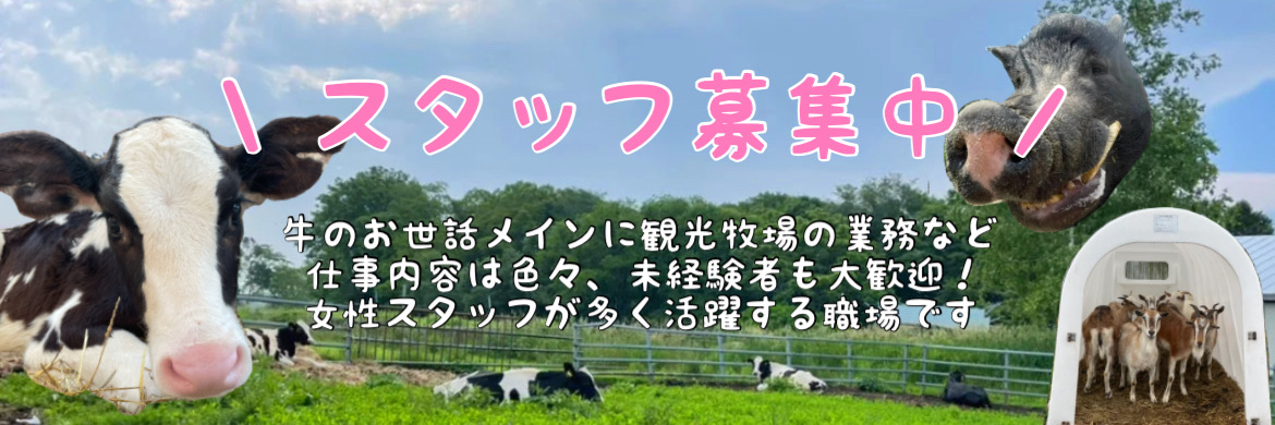 スタッフ募集中！！『北の大地　むらかみ牧場で働いてみませんか？』
