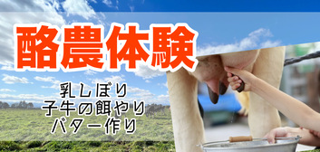 酪農体験(乳しぼり＋バター作り)